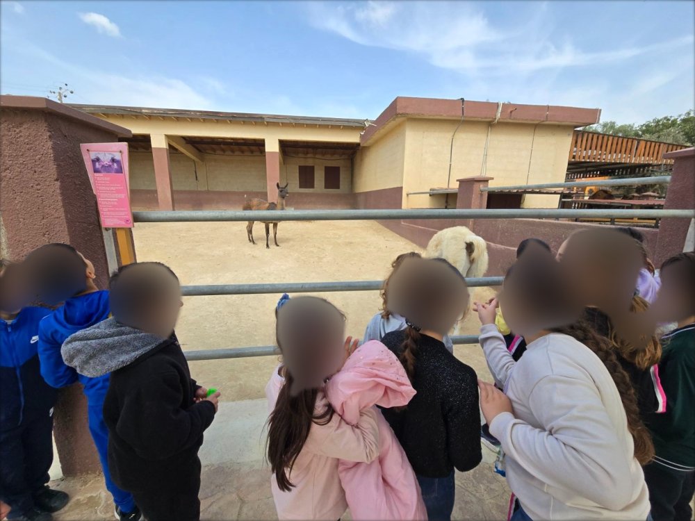 4/3/25: Η Α' και η Β' τάξεις του σχολείου μας επισκέφθηκαν στο Πάρκο των καμηλων