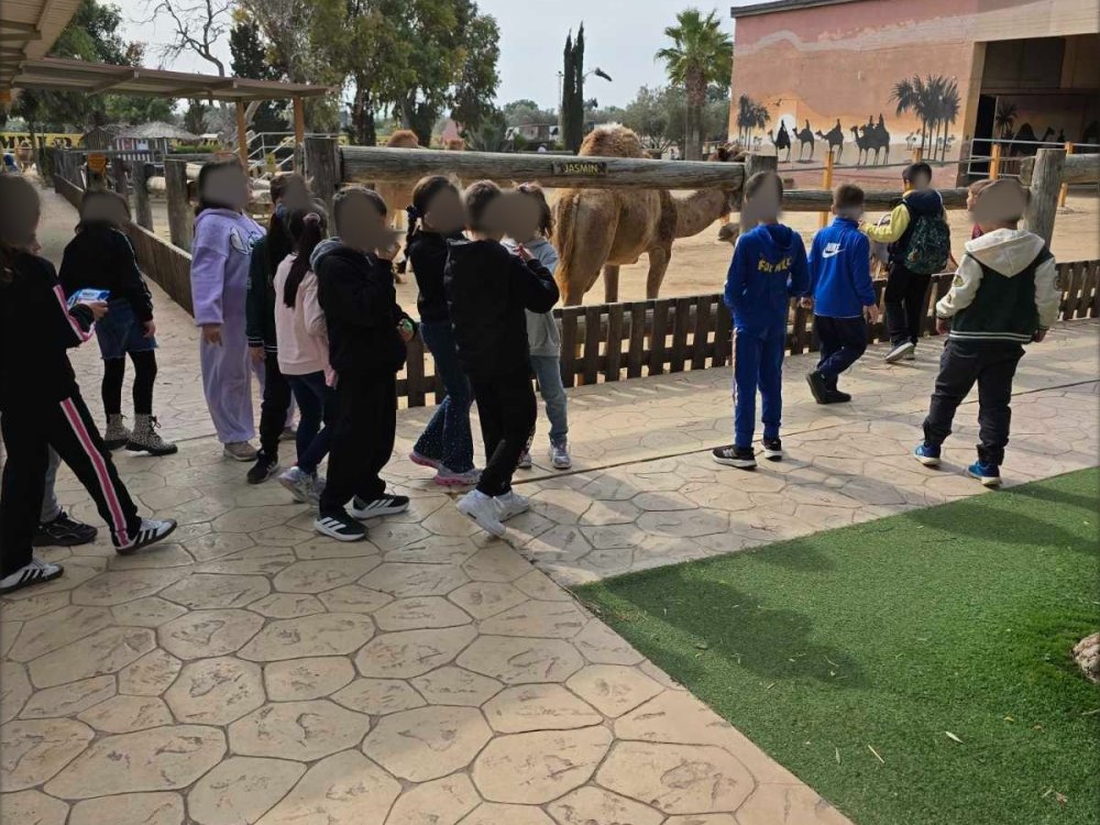 4/3/25: Η Α' και η Β' τάξεις του σχολείου μας επισκέφθηκαν στο Πάρκο των καμηλων