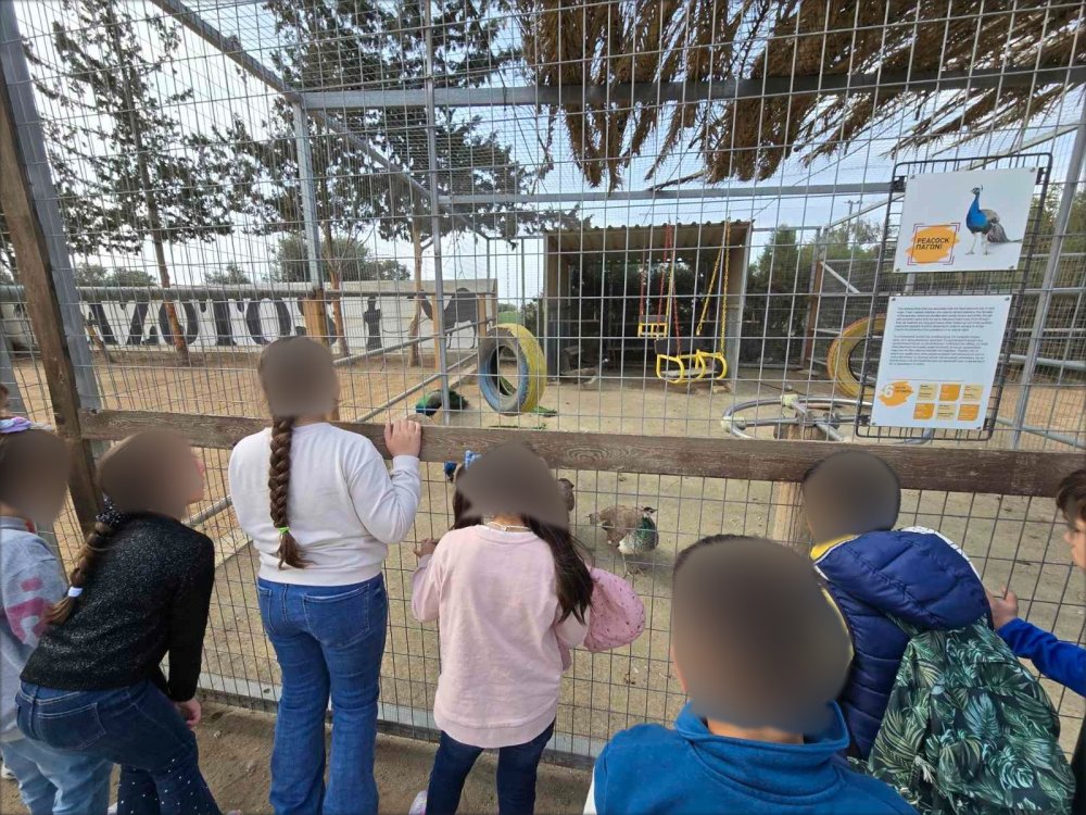 4/3/25: Η Α' και η Β' τάξεις του σχολείου μας επισκέφθηκαν στο Πάρκο των καμηλων