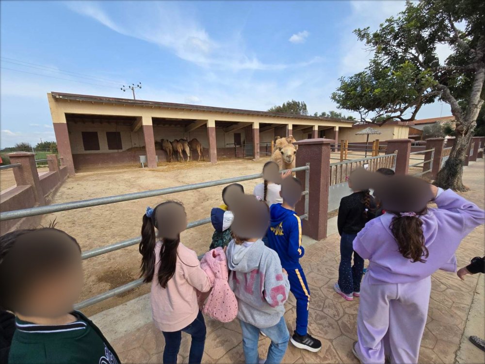 4/3/25: Η Α' και η Β' τάξεις του σχολείου μας επισκέφθηκαν στο Πάρκο των καμηλων