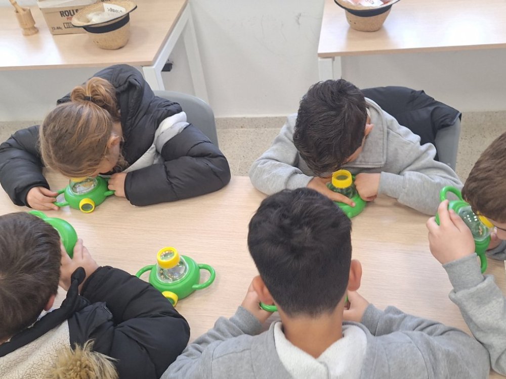 23/1 εκπαιδευτική έκδρομη Γ' τάξης στο περιβάλλοντικο κέντρο Κοιλανίου. Παρακολούθηση θέματος: "Από το στάρι στο ψωμι"