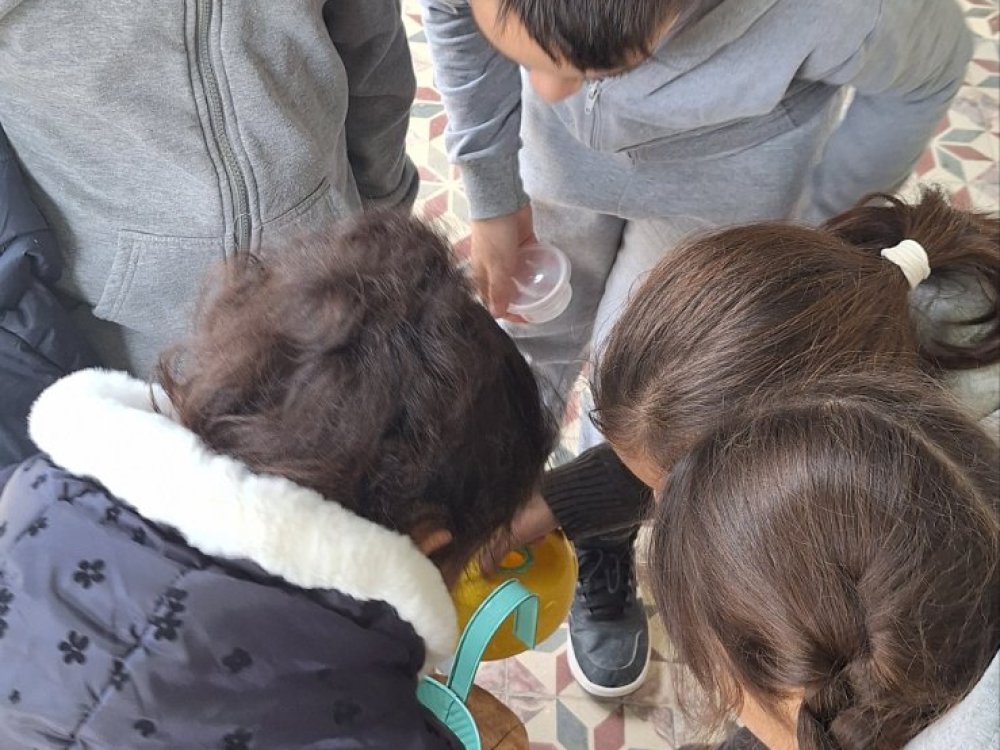 23/1 εκπαιδευτική έκδρομη Γ' τάξης στο περιβάλλοντικο κέντρο Κοιλανίου. Παρακολούθηση θέματος: "Από το στάρι στο ψωμι"