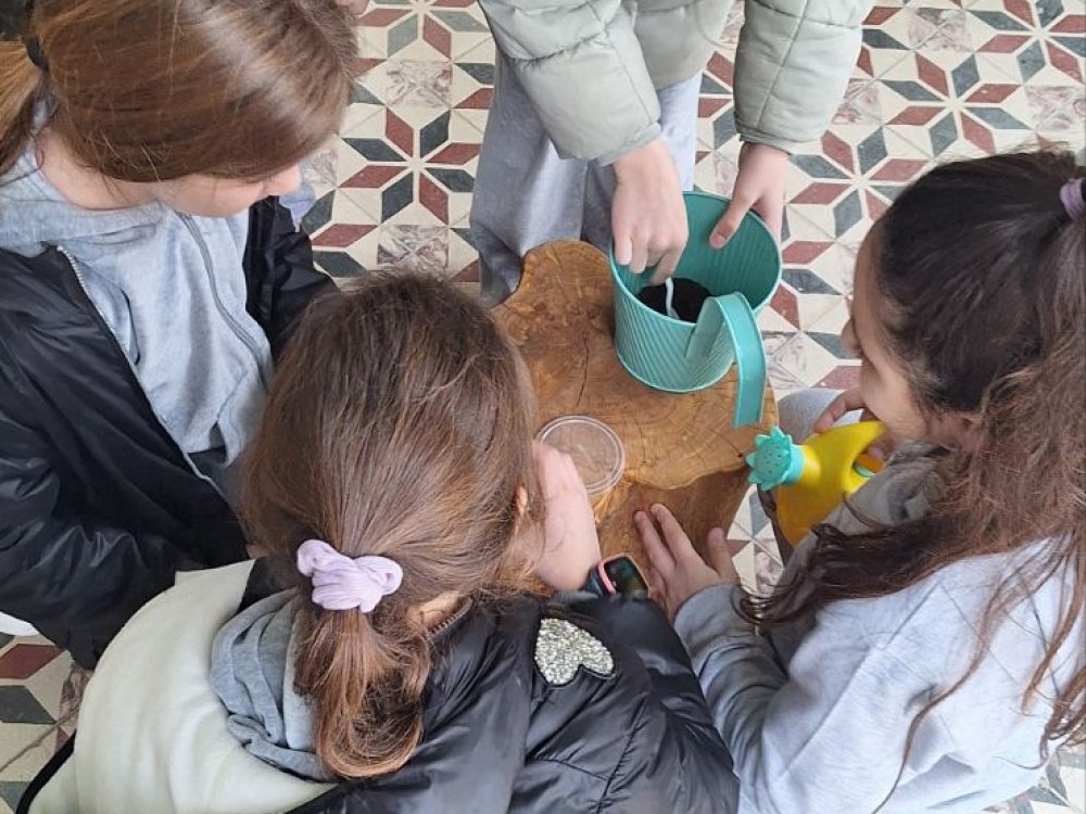 23/1 εκπαιδευτική έκδρομη Γ' τάξης στο περιβάλλοντικο κέντρο Κοιλανίου. Παρακολούθηση θέματος: "Από το στάρι στο ψωμι"