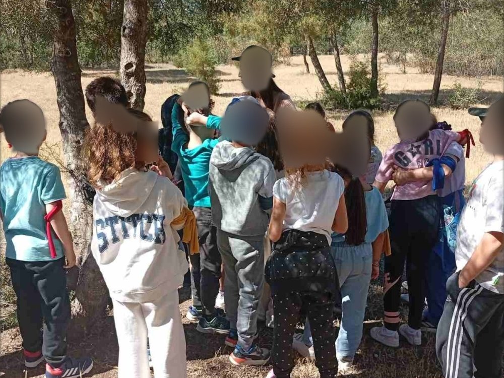 Α' ταξη εκδρομή στο "Σχολείο του Δάσους "