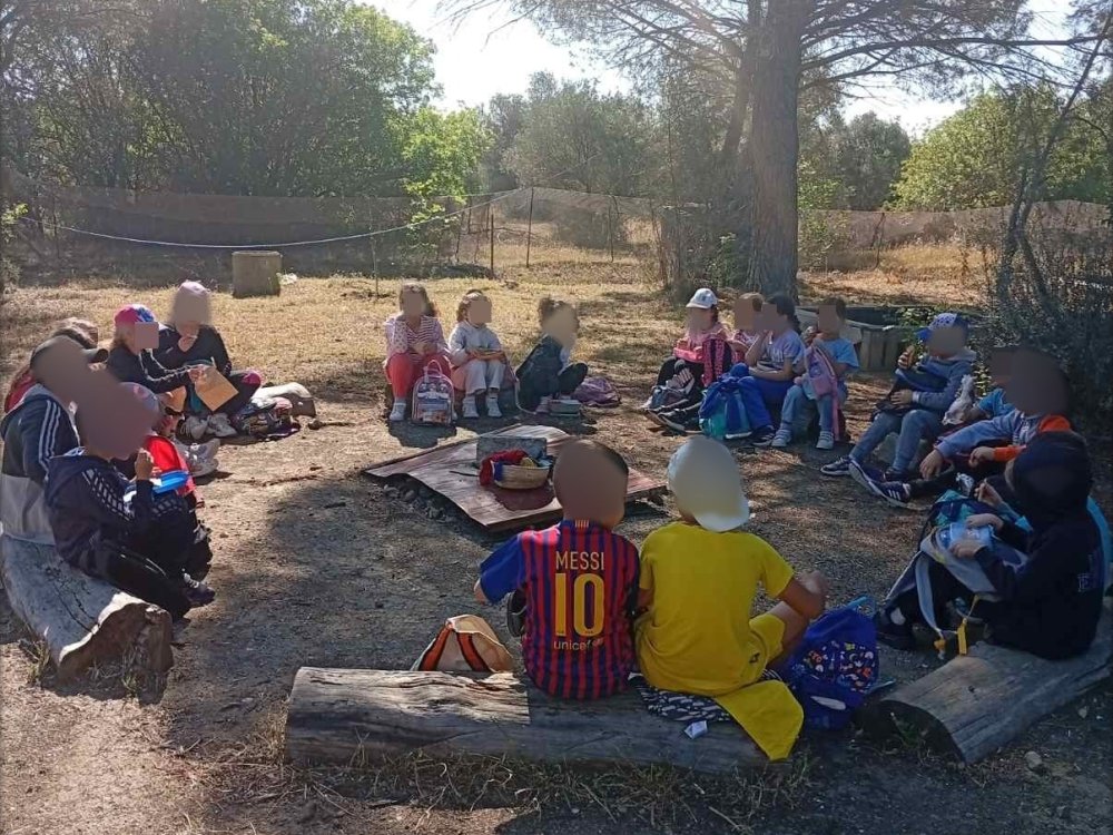 Α' ταξη εκδρομή στο "Σχολείο του Δάσους "