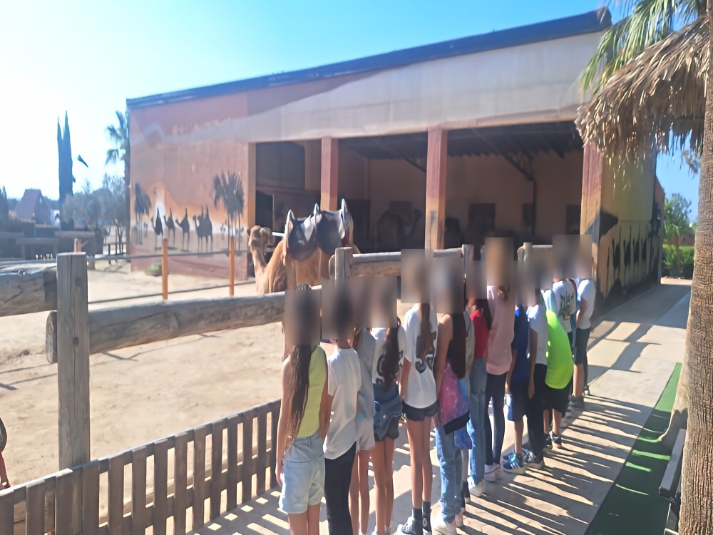 Εκδρομή στο πάρκο των καμήλων