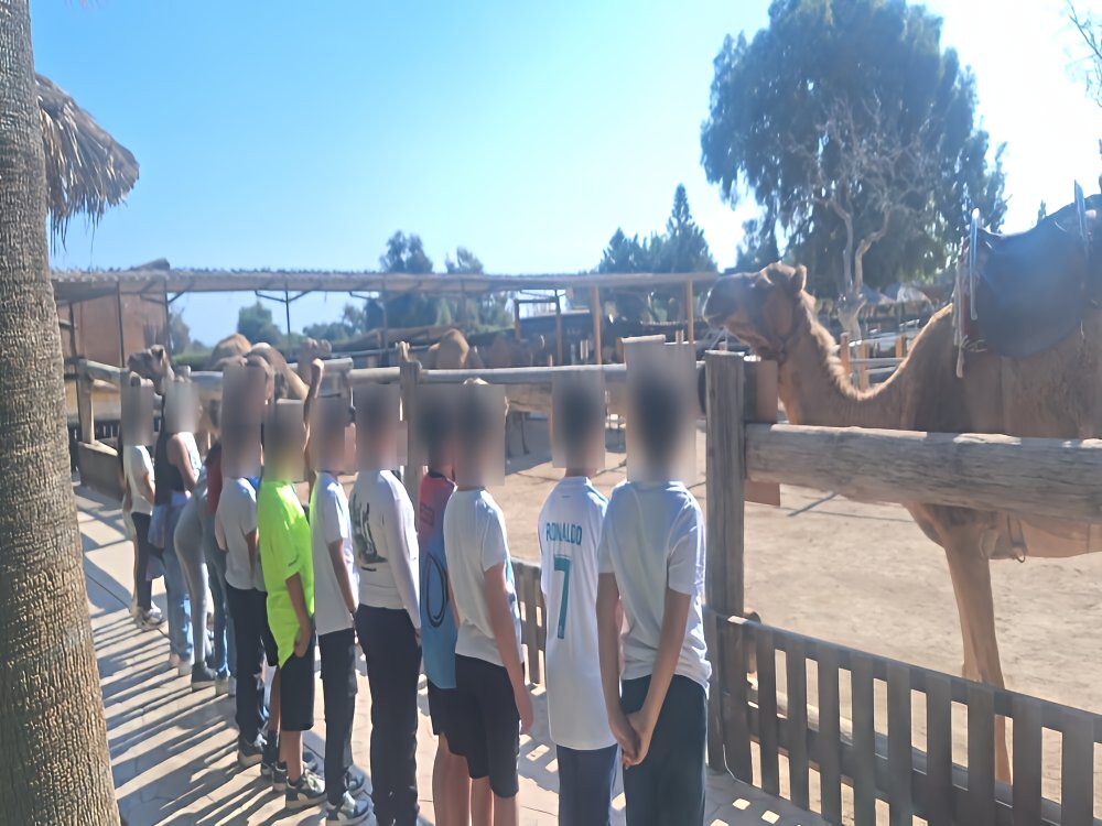 Εκδρομή στο πάρκο των καμήλων