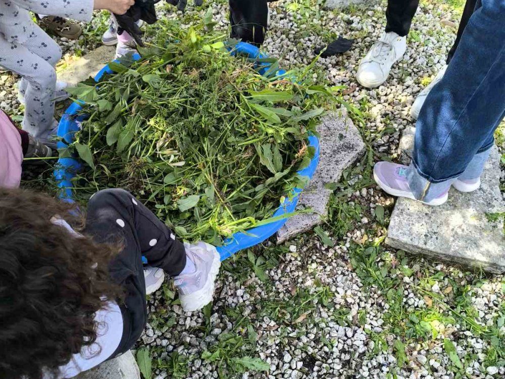 24/4: Το Β2 πήγε εκπαιδευτική επίσκεψη στο Κοινοτικό Πάρκο Κυβίδων, όπου έγινε ενημέρωση από την Πυροσβεστική Υπηρεσία της περιοχής και ανάληψη κοινής δράσης δεντροφύτευσης με το Δημόσιο Νηπιαγωγείο Κυβίδων.