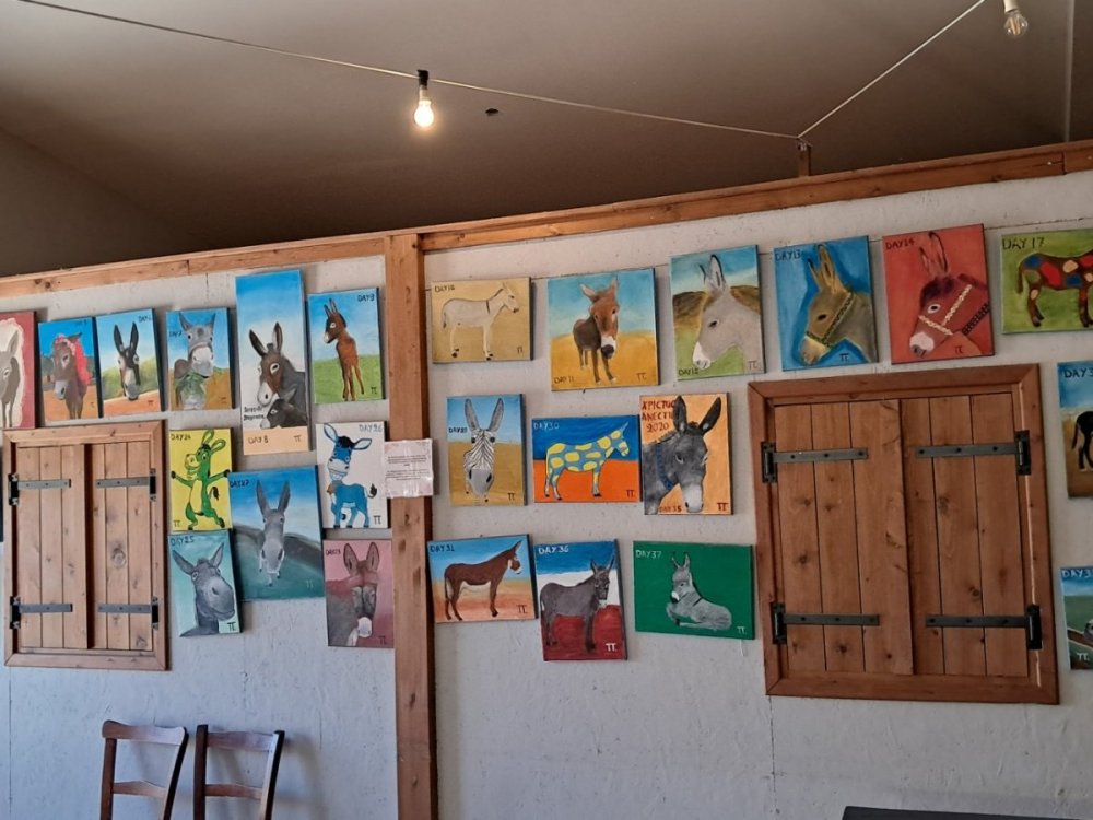 Εκπαιδευτική επίσκεψη των τάξεων Α΄ και Β΄ στο Πάρκο Γεωργιάδη στην επαρχία Λάρνακας